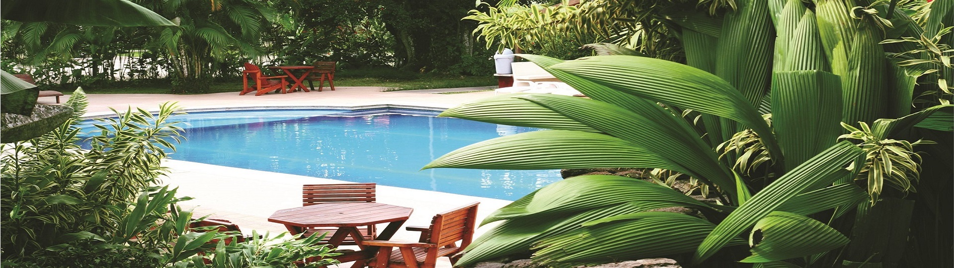 FANC House Garden Shop -FANC House Garden Shop 63