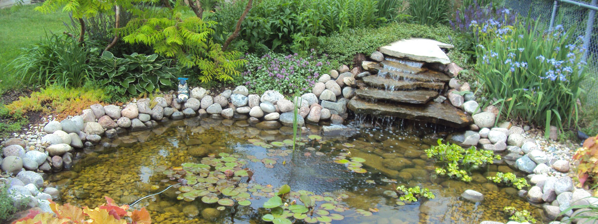 FANC House Garden Shop -FANC House Garden Shop water gardening northeast n
